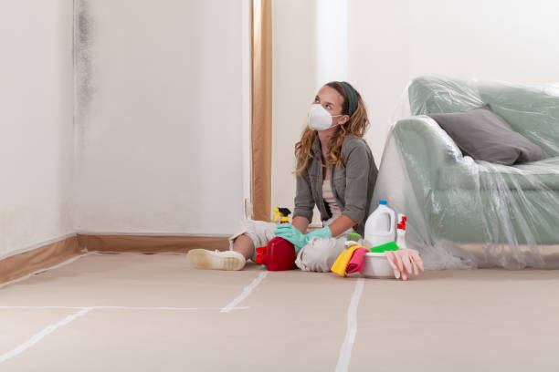 Trusted Mold Testing service in Haddonfield, NJ - WQB Mold Removal